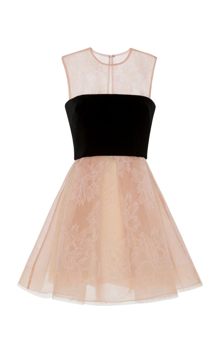 Alex Perry Lainey French Lace Mini Dress