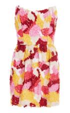 Moda Operandi Markarian Hawthorn Strapless Mini Floral Applique Dress