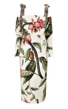 Moda Operandi Johanna Ortiz Dense Jungle Printed Organic Cotton Midi Dress