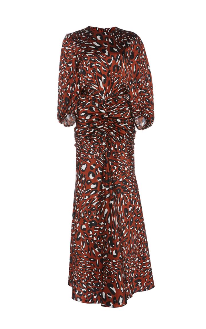 Alexandre Vauthier Silk-blend Printed Dress