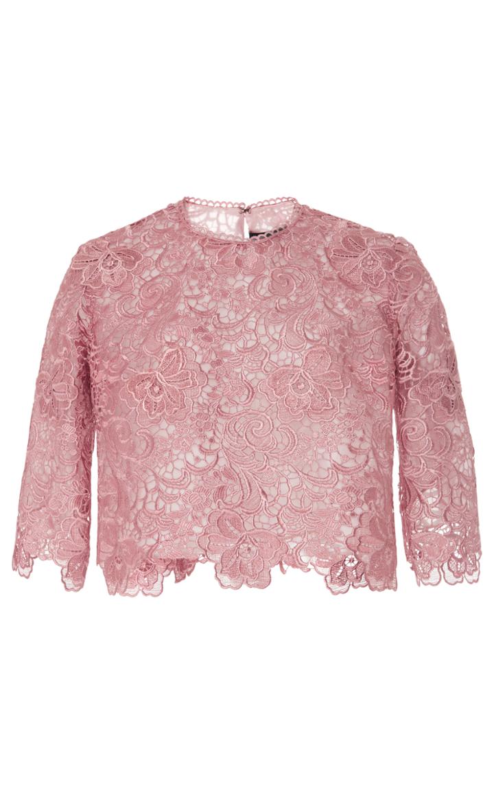 Costarellos Embroidered Cut Lace Cropped Top