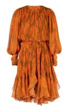 Maria Lucia Hohan Monica Printed Georgette Dress