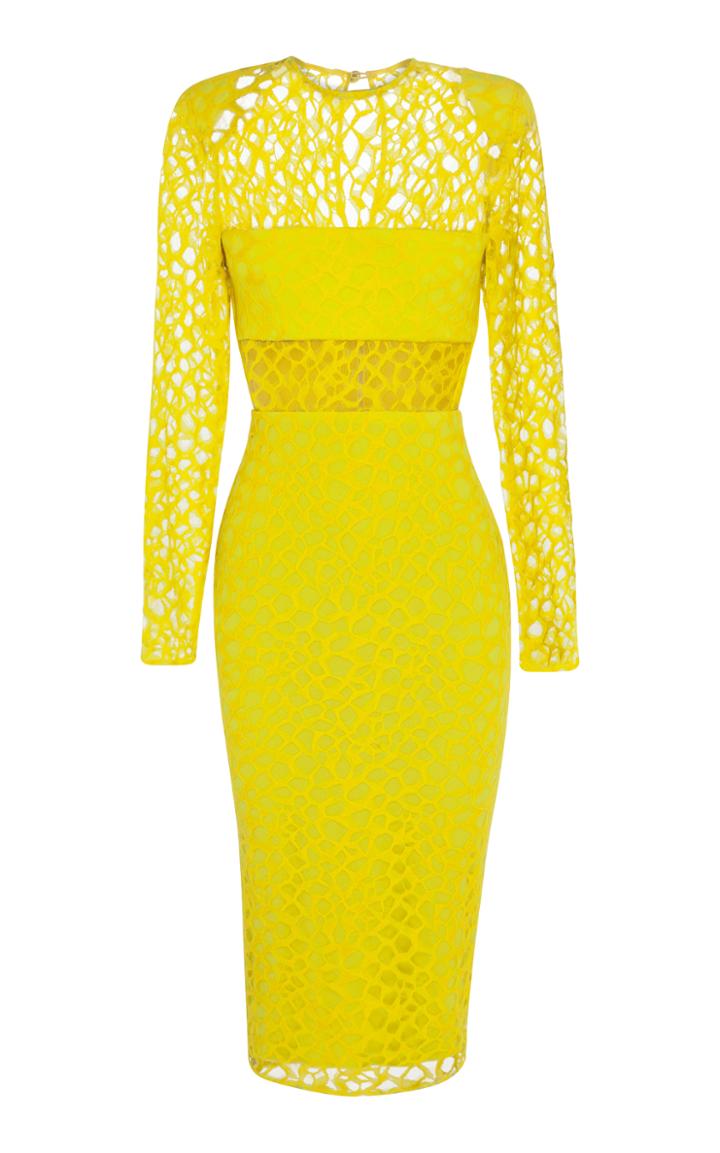 Alex Perry Caroline French Lace L/s Lady Dress