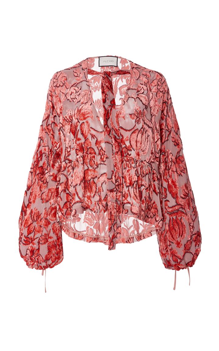 Alexis Caprina Velvet Embroidered Top