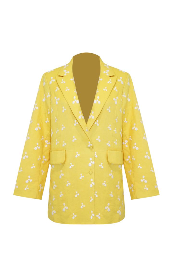 All Things Mochi Iris Linen Embroidered Blazer