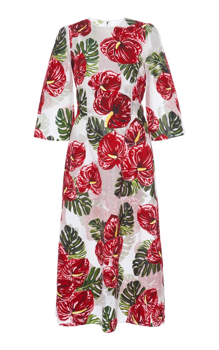 Moda Operandi Dolce & Gabbana Floral Organza Midi Dress Size: 36