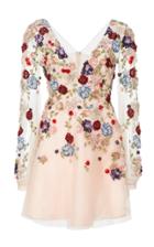 Patbo Beaded Tulle A Line Mini Dress