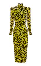 Alex Perry Miles Leopard-print Velvet Turtleneck Dress