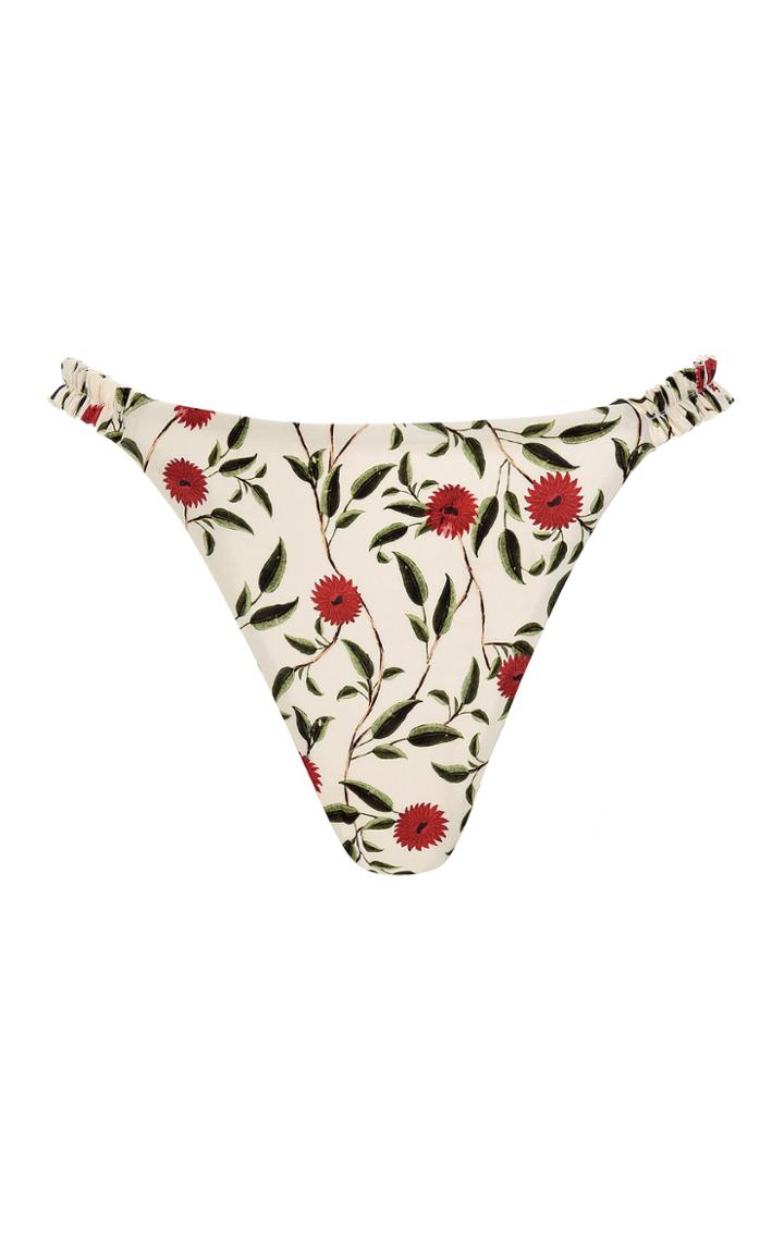 Moda Operandi Agua By Agua Bendita Vera High-rise Hedera-print Bikini Bottom