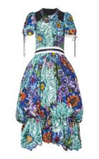 Mary Katrantzou Bluebell Printed Dress