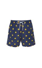 Solid & Striped Polka-dot Swim Shorts