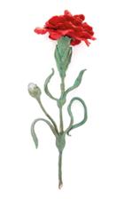 Luz Camino Red Carnatio Brooch