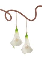 Moda Operandi Cult Gaia Calla Flower Statement Earrings