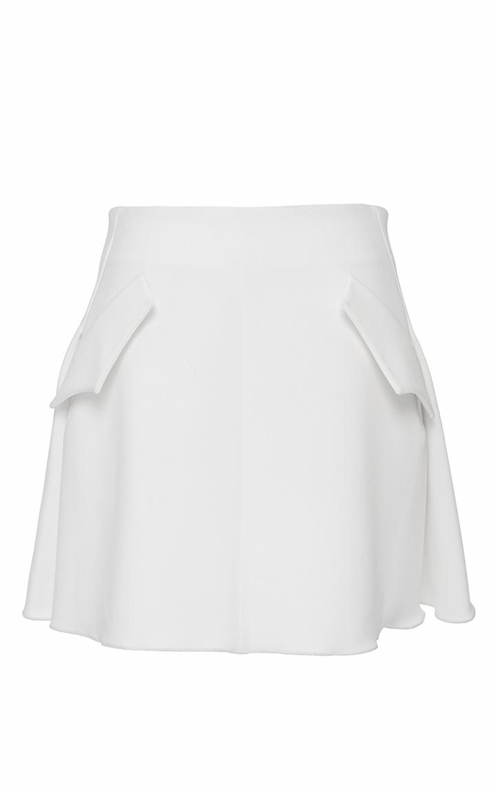 Ellery Minky A-line Skirt