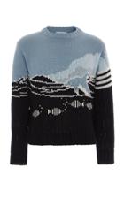Thom Browne Dolphin Intarsia-knit Cotton-blend Sweater