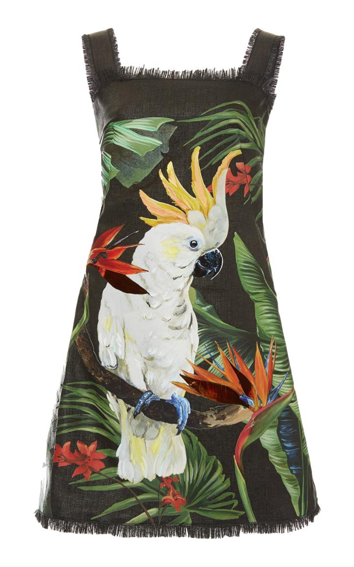 Moda Operandi Dolce & Gabbana Raffia Jacquard Dress Size: 36