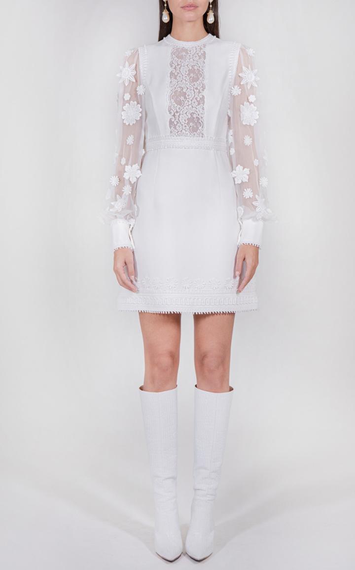 Moda Operandi Andrew Gn Embroidered Paneled Chiffon Mini Dress