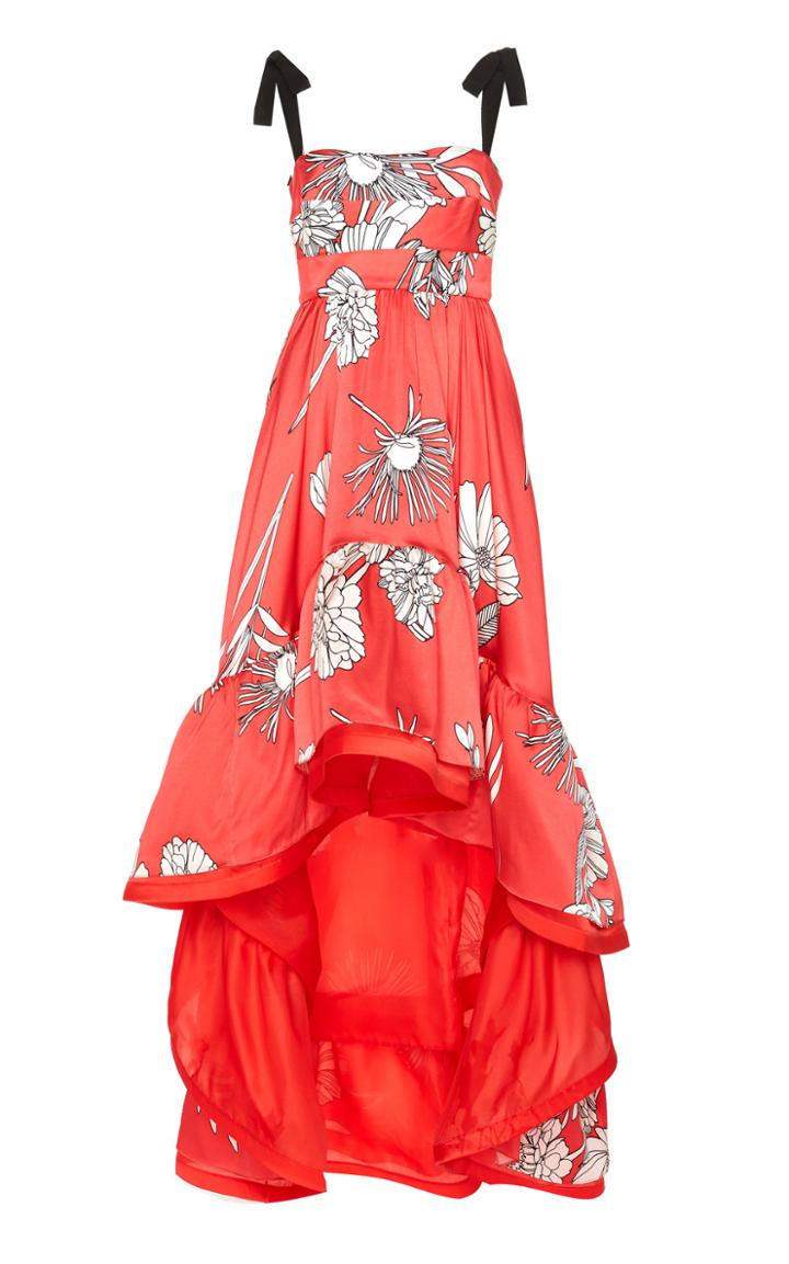 Silvia Tcherassi Novello Printed Silk Blend Dress