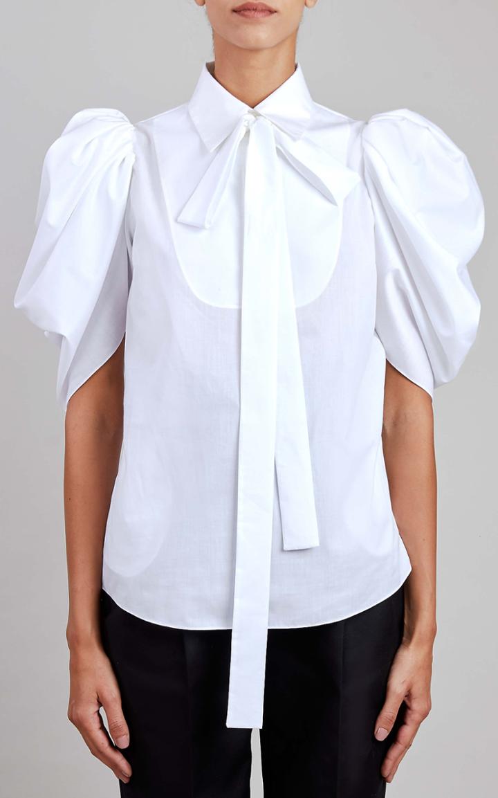Moda Operandi Elie Saab Popeline Top