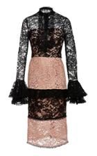 Alexis Beverly Lace Panel Dress