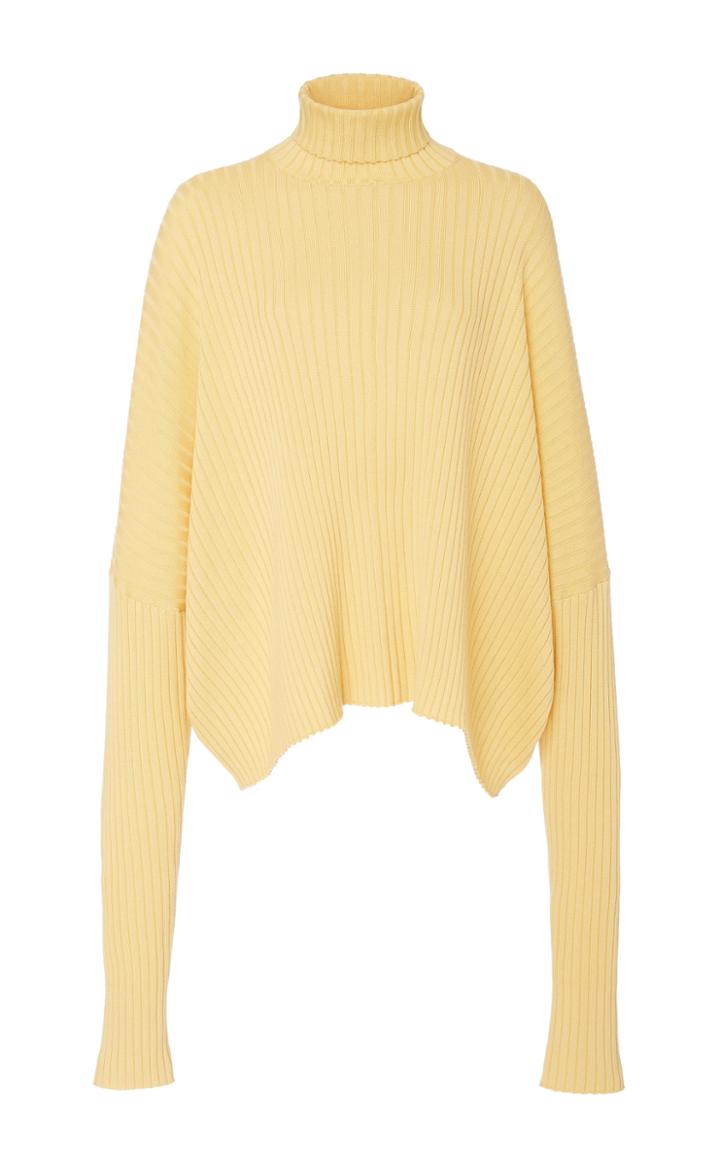 Sally Lapointe Oversized Ribbed Cashmere-blend Turtleneck