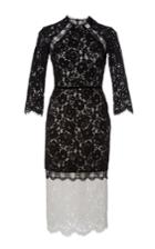 Alexis Whitney Two Tone Lace Dress