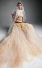 Vera Wang Marie Jose A-line Gown With Lace Sheer Bodice