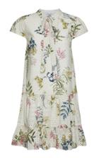 Moda Operandi We Are Kindred Hazel Cotton Pussy Bow Dress Size: 8