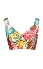 Dolce & Gabbana Floral-print Bikini Top
