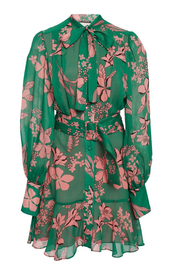 Alexis Tisdale Tie-detailed Floral-print Chiffon Mini Dress