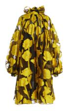 Moda Operandi Carolina Herrera Poppy Fil Coupe Bow Detail Mini Dress