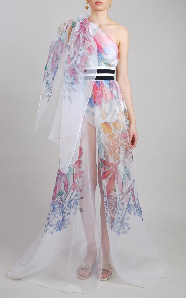 Moda Operandi Elie Saab Printed Organza Maxi Dress