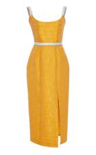 Markarian Ferrars Silk-blend Corset Dress