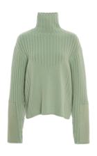 Sally Lapointe Ribbed Wool-cashmere Turtleneck