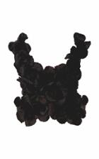 Esme Vie Hibiscus Flower Top