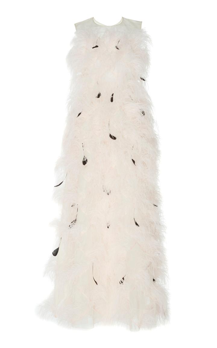 Huishan Zhang Mystique Feather-trimmed Gown