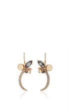 Anna Sheffield Butterfly Chrysalis Earring