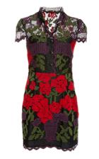 Anna Sui Roses And Vases Lace Dress