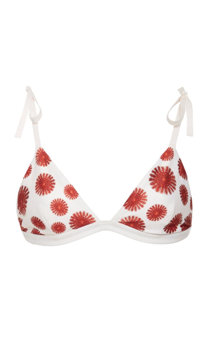 Moda Operandi Agua By Agua Bendita Uva Erizos Bikini Top Size: Xs