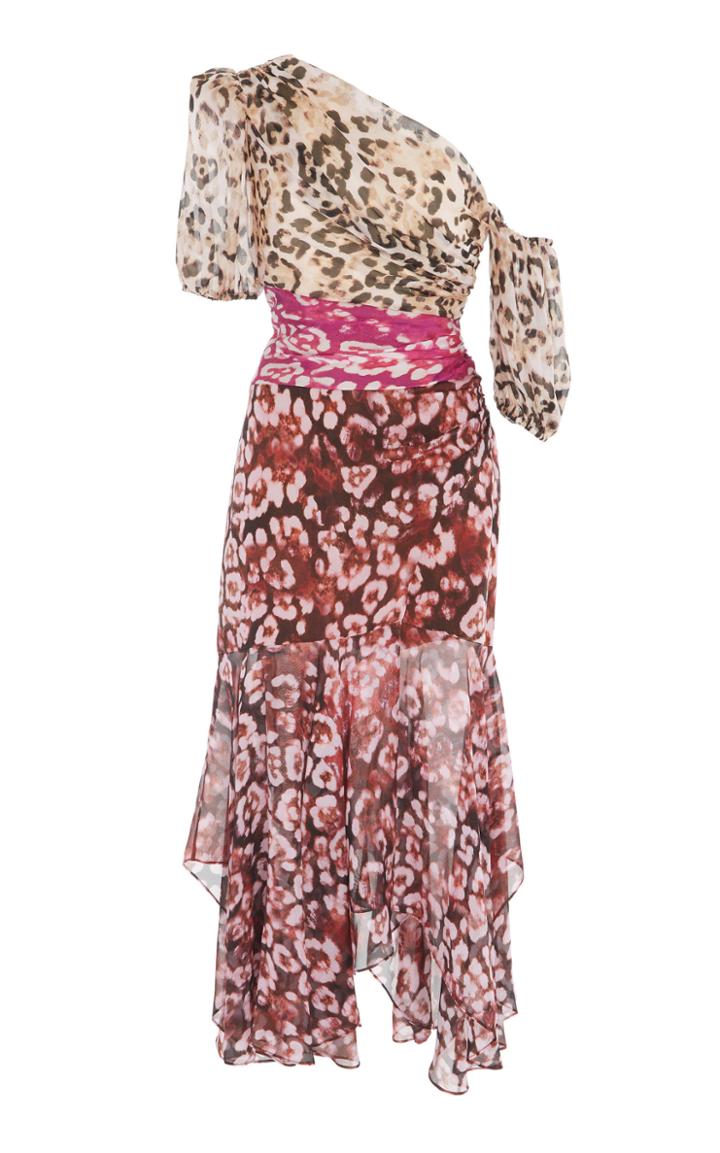 Amur Jaylah Printed Chiffon Dress
