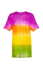 Moda Operandi The Elder Statesman Gradient Dyed Favorite Tee