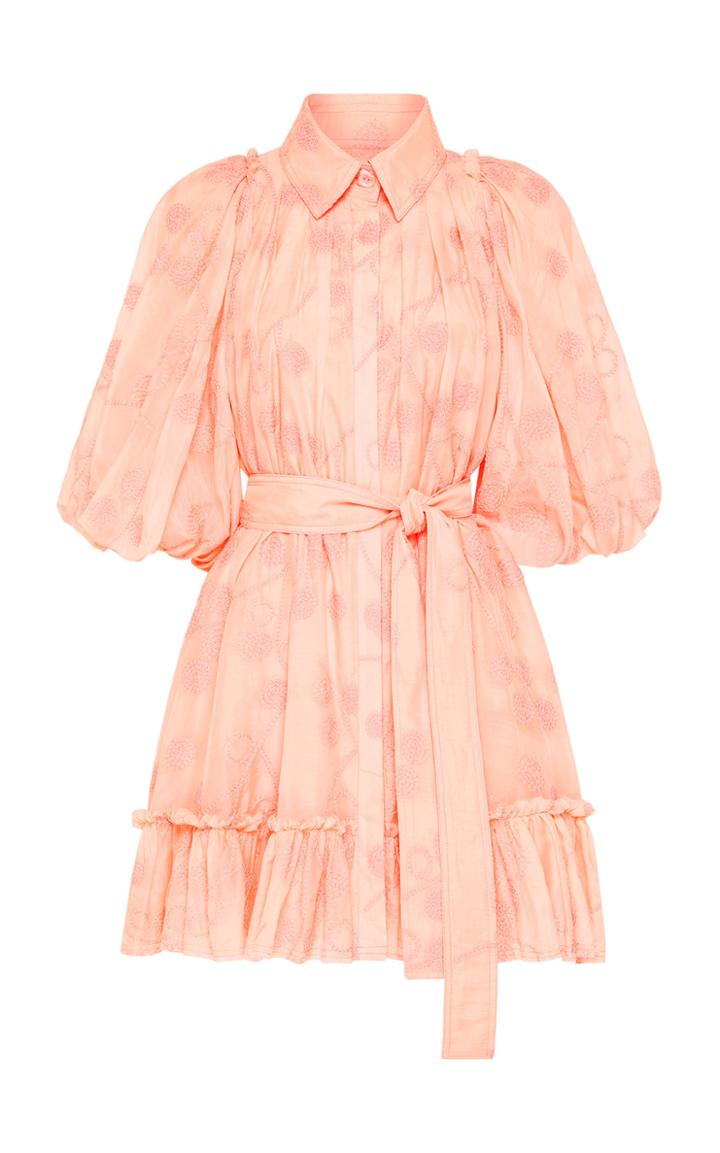 Moda Operandi Aje Textural Pleated Embroidered Cotton-silk Mini Dress