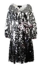 Anouki Sparkly Silver Dress