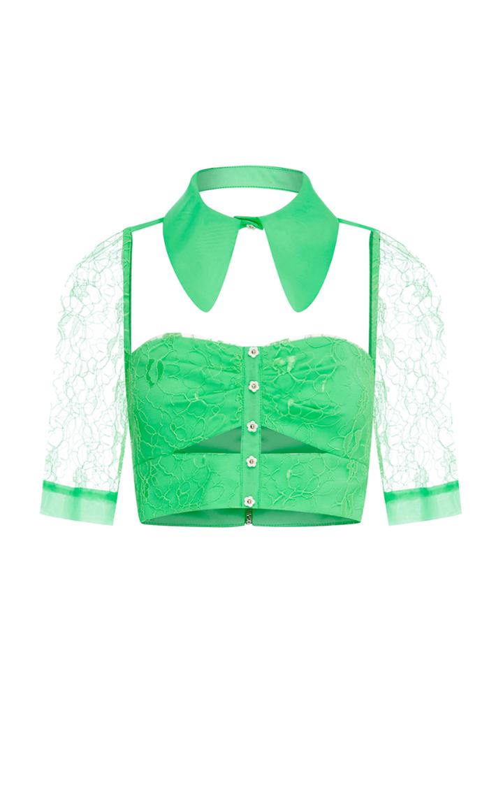 Alice Mccall Alexa Top