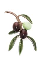 Luz Camino Small Olive Tree Branch Brooch