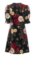 Dolce & Gabbana Floral-print Cotton-blend Mini Dress