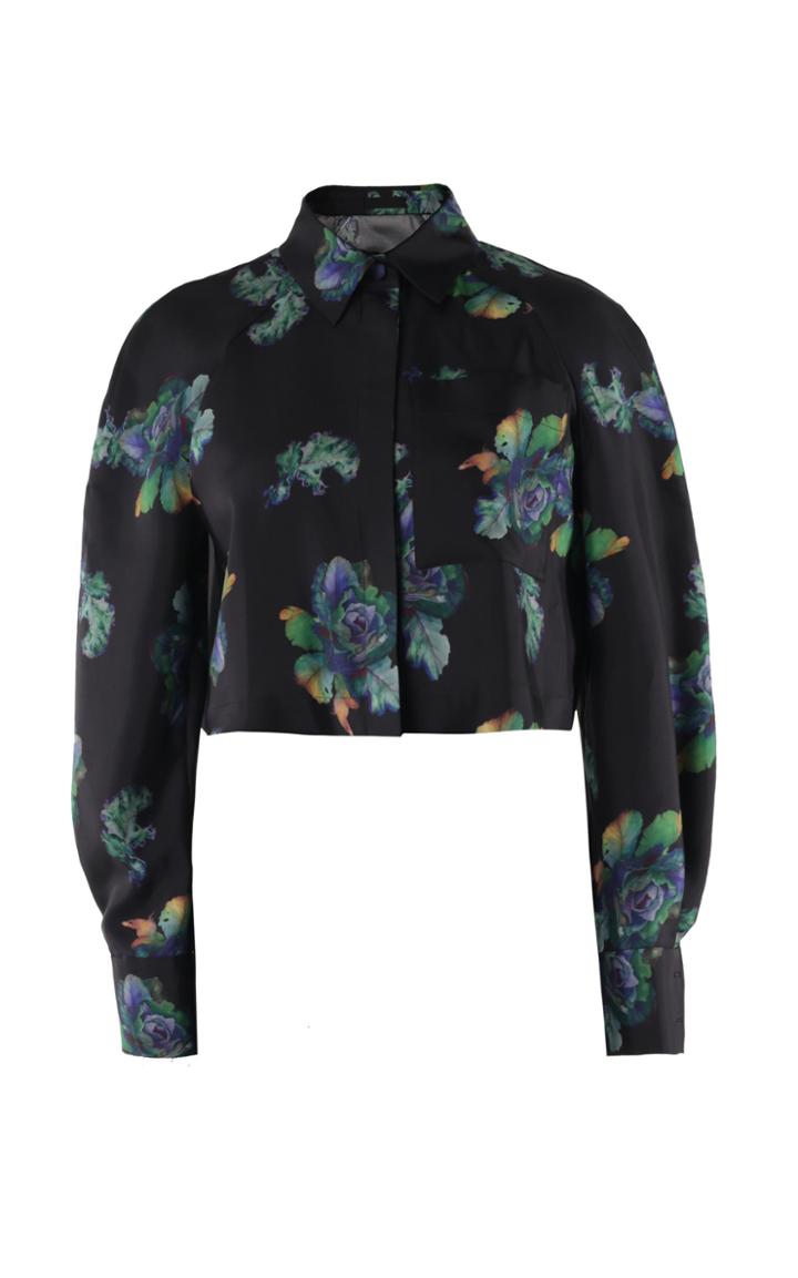 Lake Studio Collared Crop Top