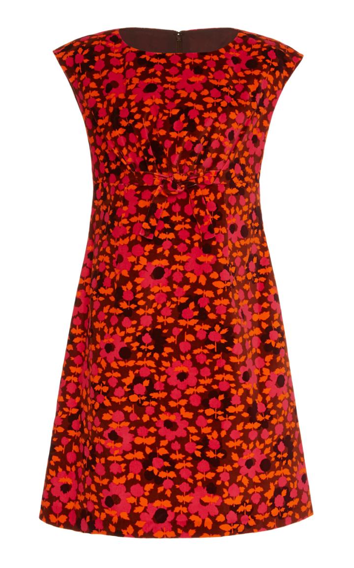 Anna Sui Falling For Flowers Velveteen Dress