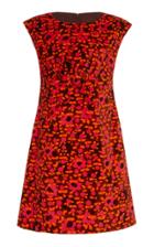 Anna Sui Falling For Flowers Velveteen Dress