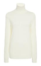 Lab Rib-knit Merino Wool Turtleneck
